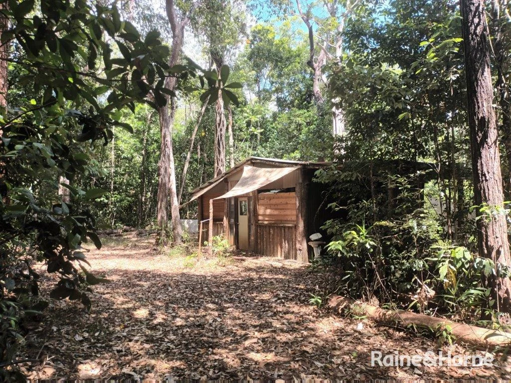 Additional image 21 of Lot 249 White Beech Road, Cow Bay, Daintree QLD 4873