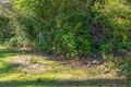 Additional image 10 of 21329 Birch Pl, Ocean Park, WA, 98640