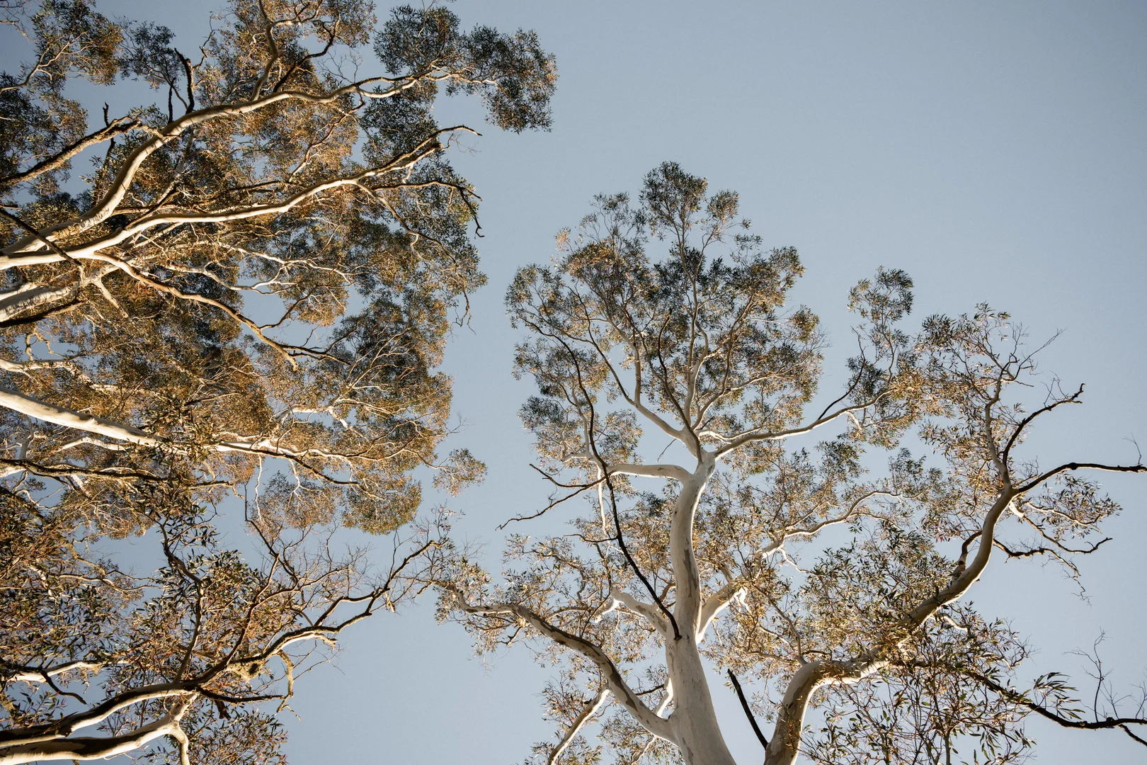 Additional image 6 of 27 Cecil Road, Blackheath NSW 2785