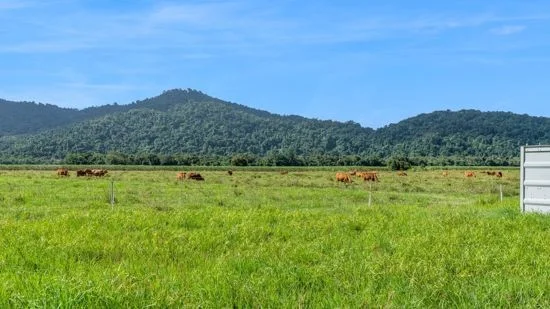 Additional image 10 of 21 Barbagallo Road, Aloomba QLD 4871