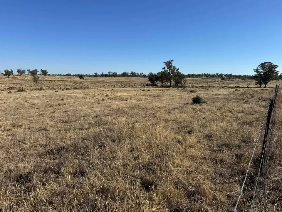 Additional image 3 of 117 Hillside Lane, Parkes NSW 2870