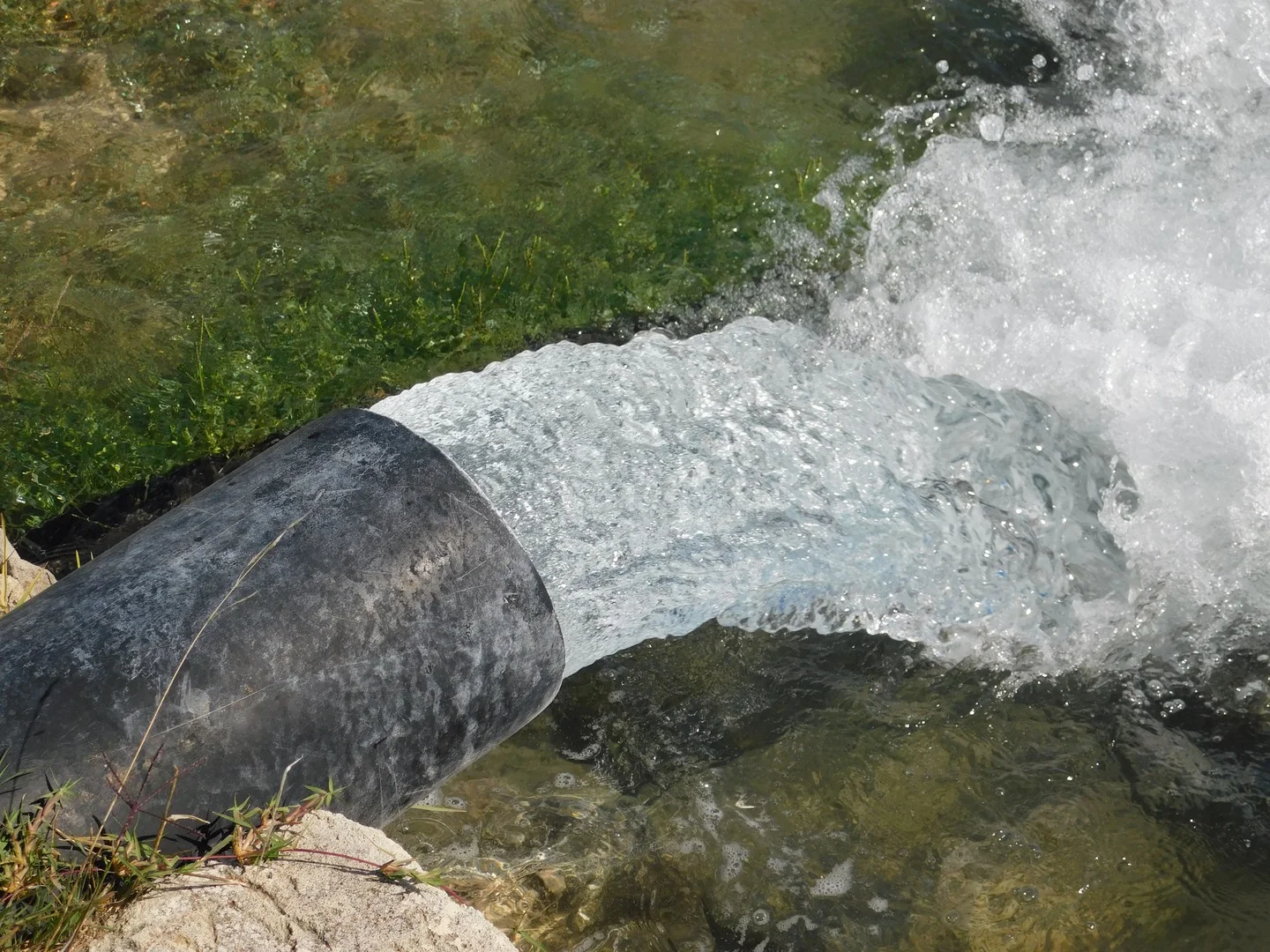 Additional image 3 of 1878 Cannawigara Road, Bordertown SA 5268