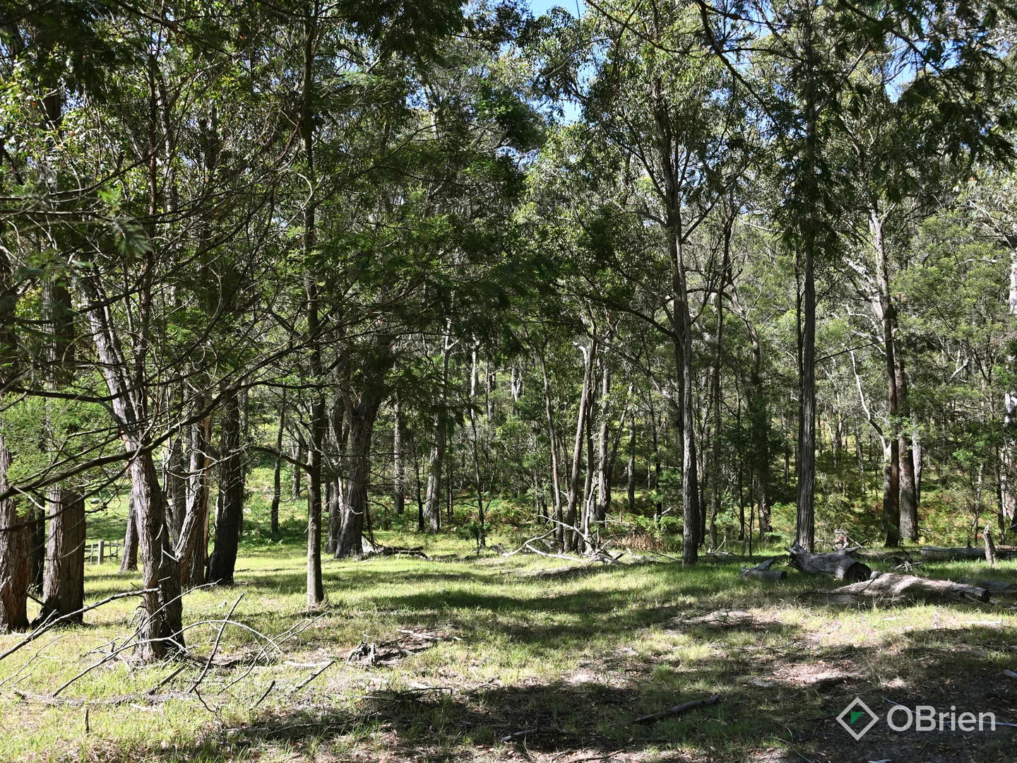 Additional image 5 of 655 Orrs Road, Wy Yung VIC 3875