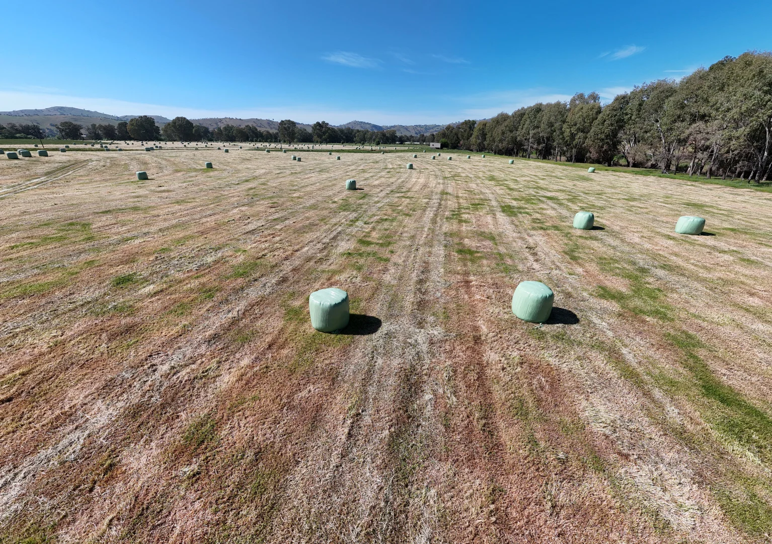 Additional image 36 of 44 Dodd Street, Gundagai NSW 2722