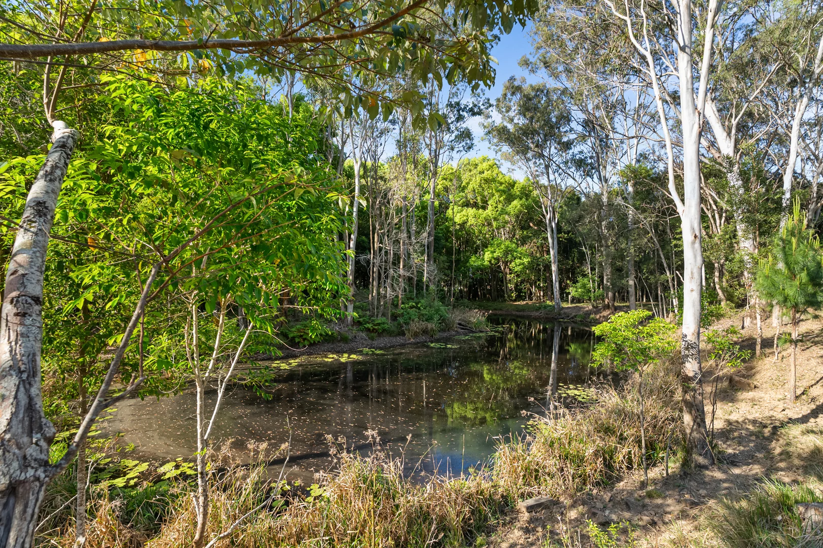 Additional image 25 of 134 Tunba Ct, Cooroy Mountain QLD 4563