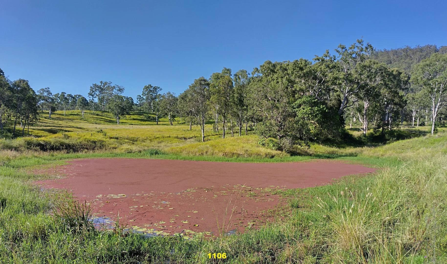 Additional image 27 of 1106 Naughtons Gap Road, Bentley NSW 2480