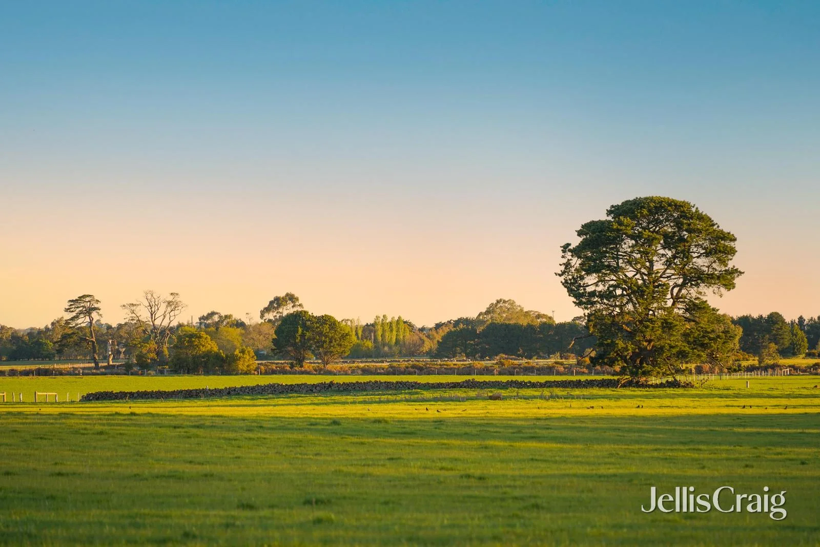 Additional image 9 of Lots 1-4 Rollinsons Road, Greenhill VIC 3444