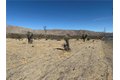Additional image 18 of 9825 Fobes Rd, Morongo Valley, CA, 92256