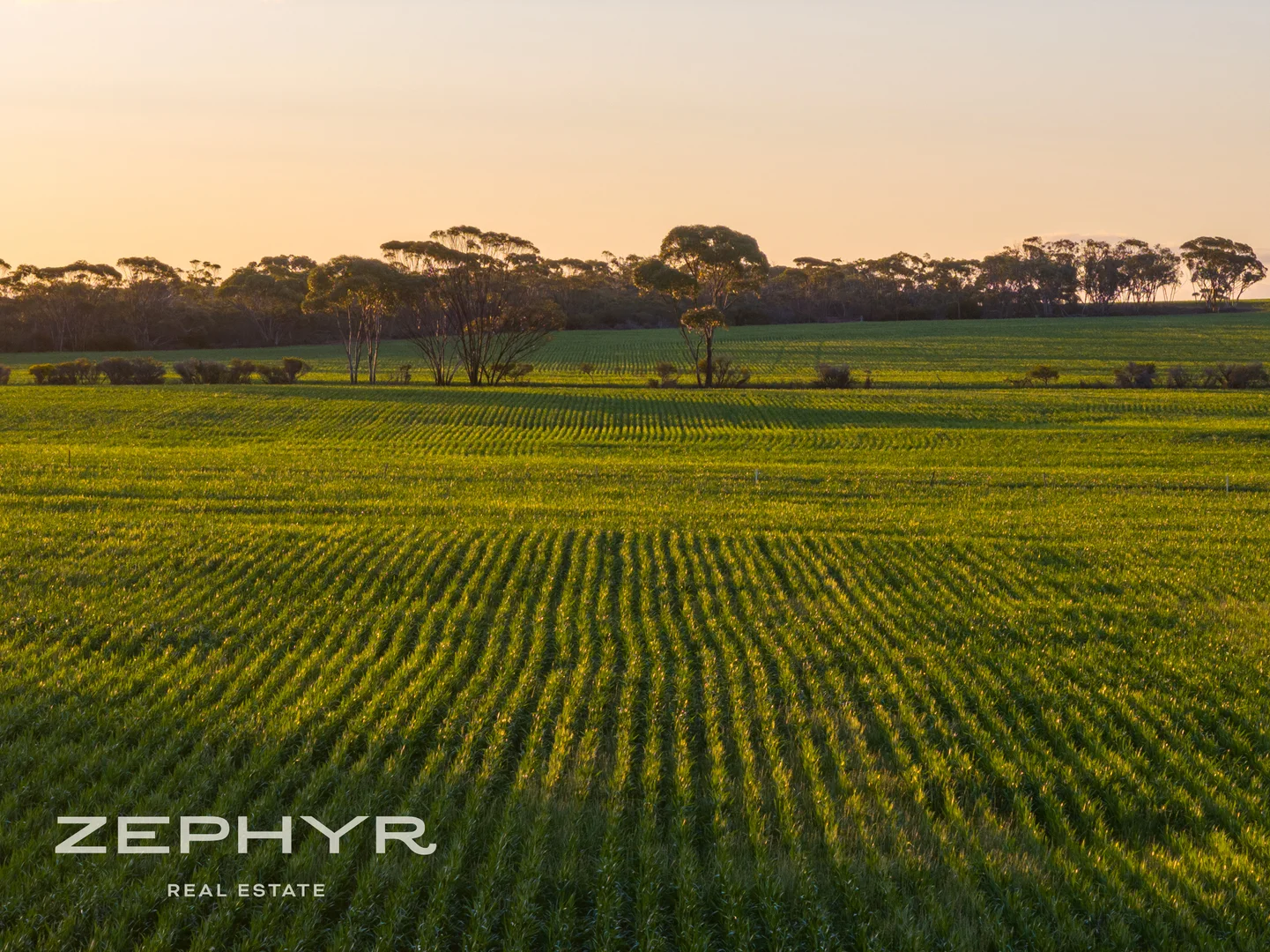 Additional image 8 of 6865 Emu Fence Road, Skeleton Rock WA 6426