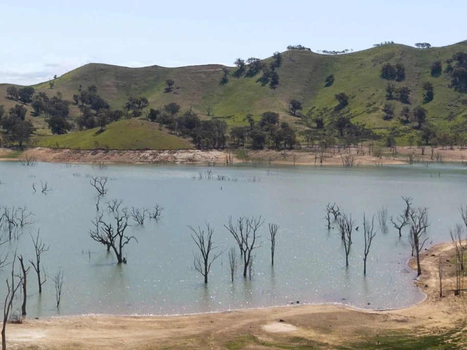 Additional image 16 of 205 Banumum Road, Mansfield VIC 3722