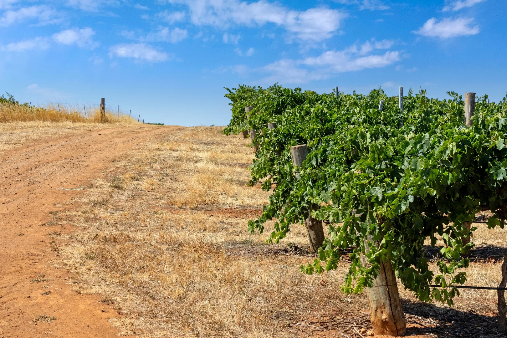 Additional image 18 of Lot 20 Spring Farm Road, Spring Farm SA 5453