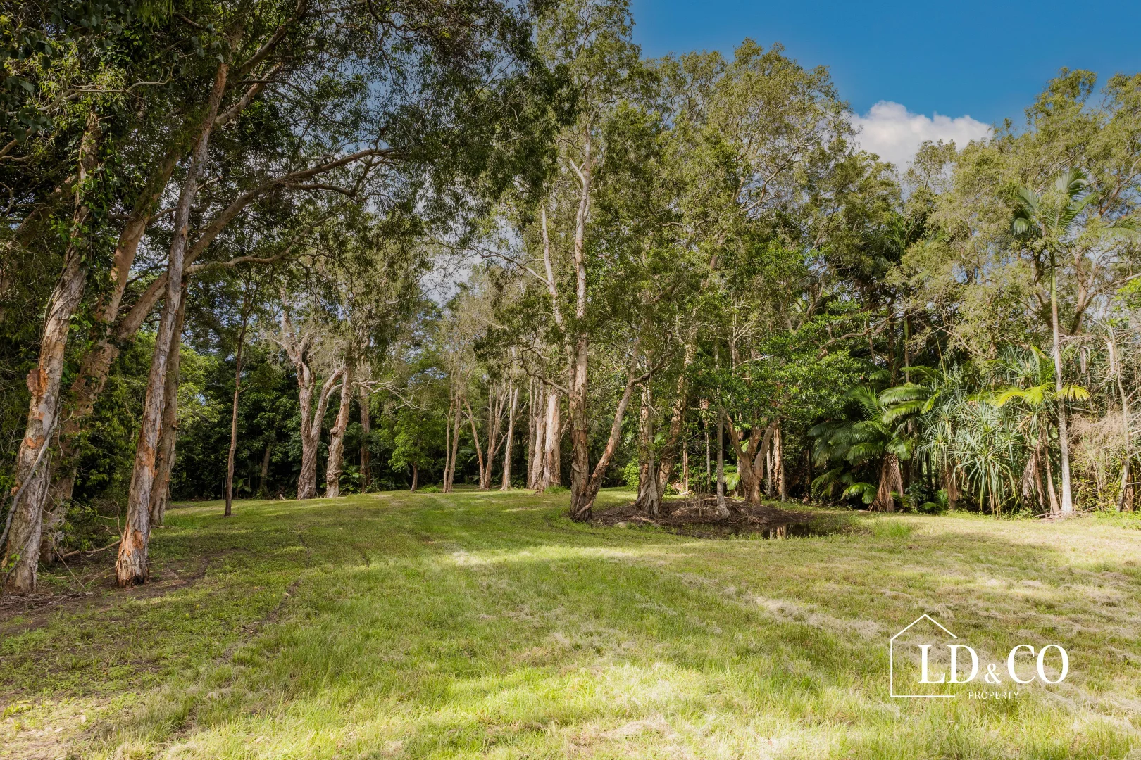 Additional image 10 of 254 Mapalo Road, The Leap QLD 4740