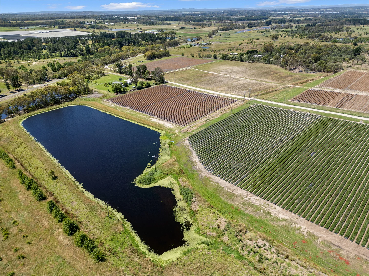 Additional image 6 of 193 Newlands Rd, Cottonvale QLD 4375