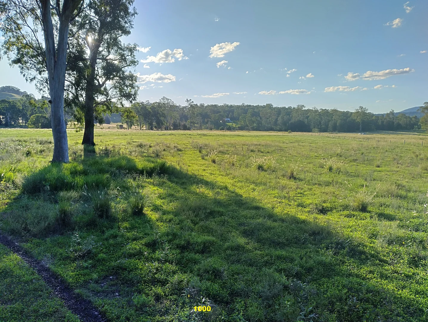 Additional image 24 of 1106 Naughtons Gap Road, Bentley NSW 2480