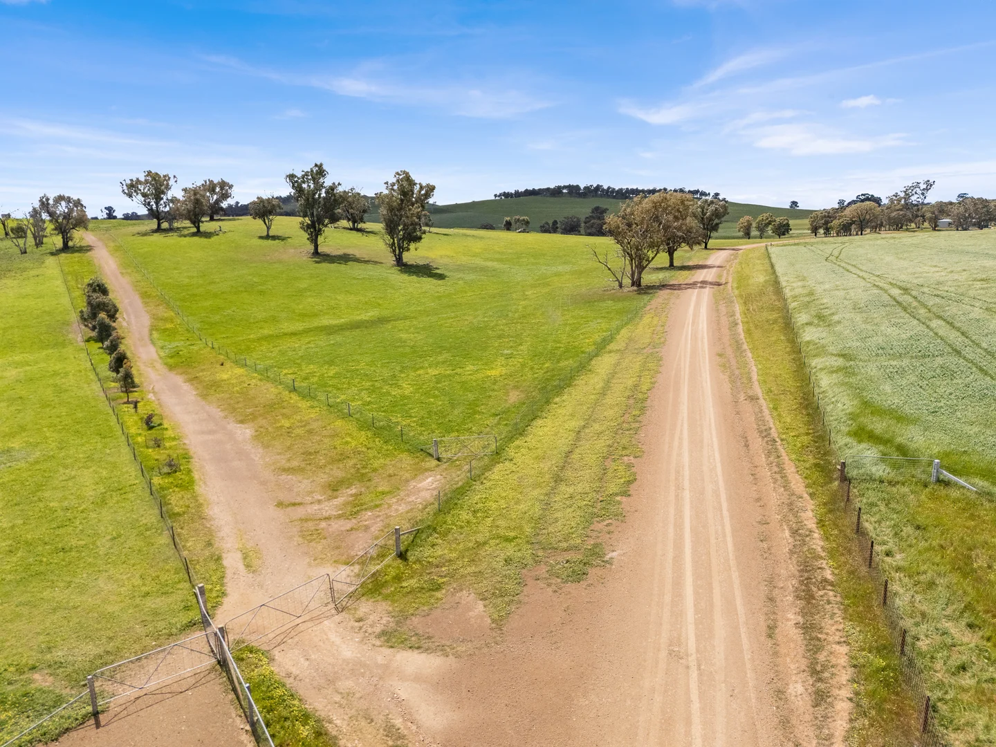 Additional image 48 of 2056 Benalla-Yarrawona Road, Bungeet West VIC 3726