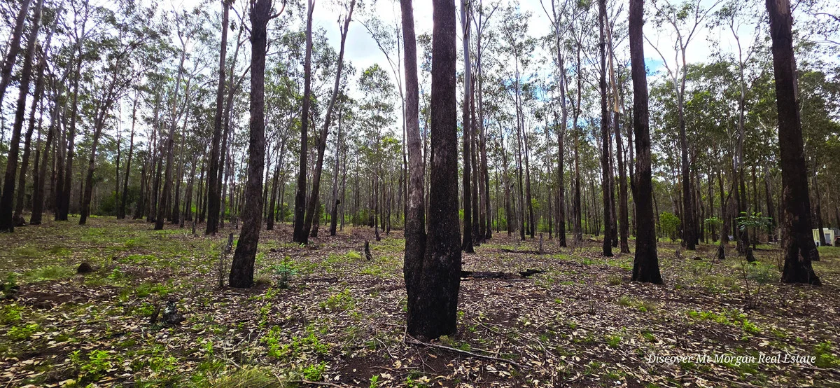 Additional image 8 of 227a Archer Road, Struck Oil QLD 4714