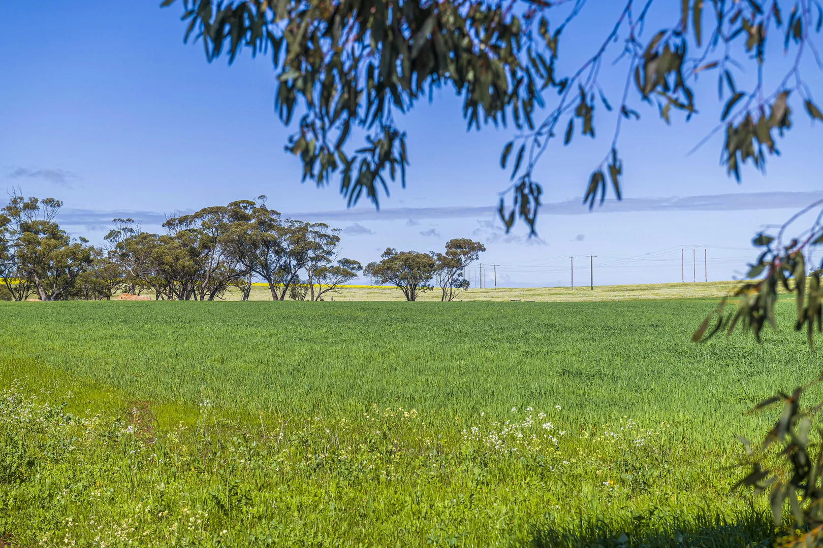 Additional image 22 of 1831 Midlands Road, Moora WA 6510