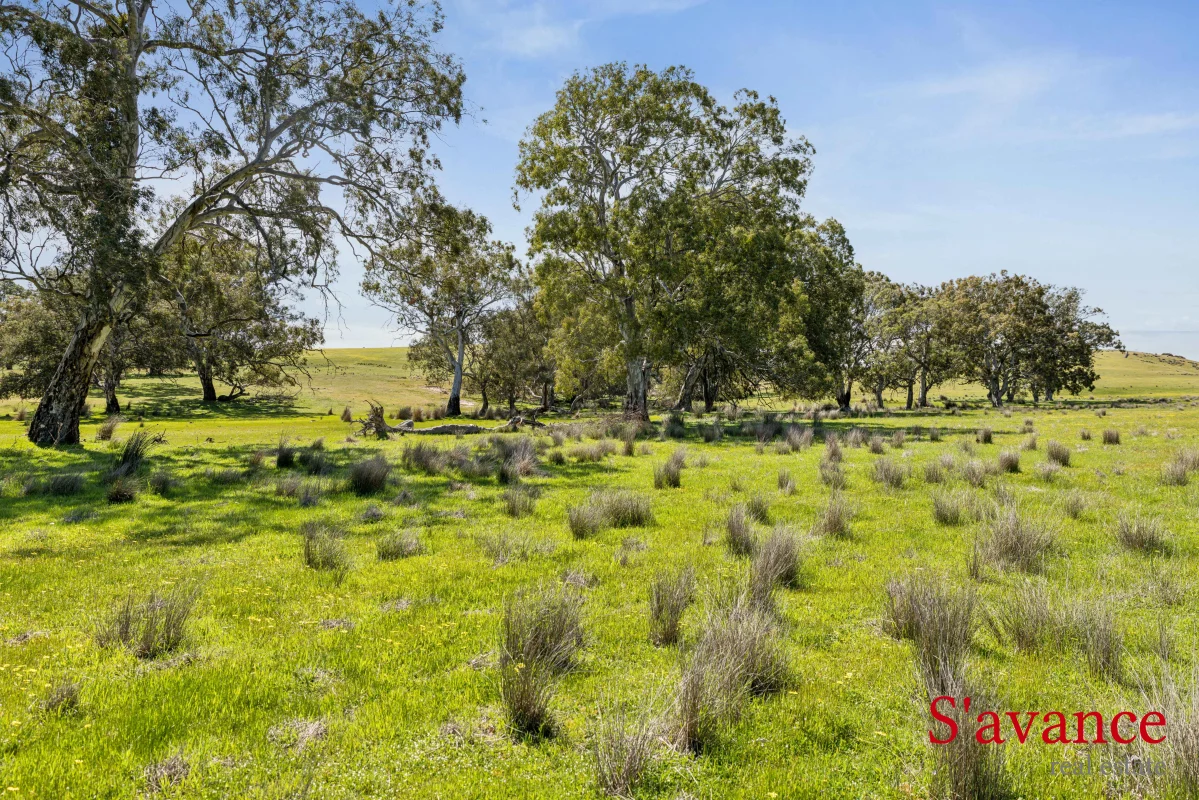 Additional image 9 of 110 Schrapels Road, Mount Pleasant SA 5235