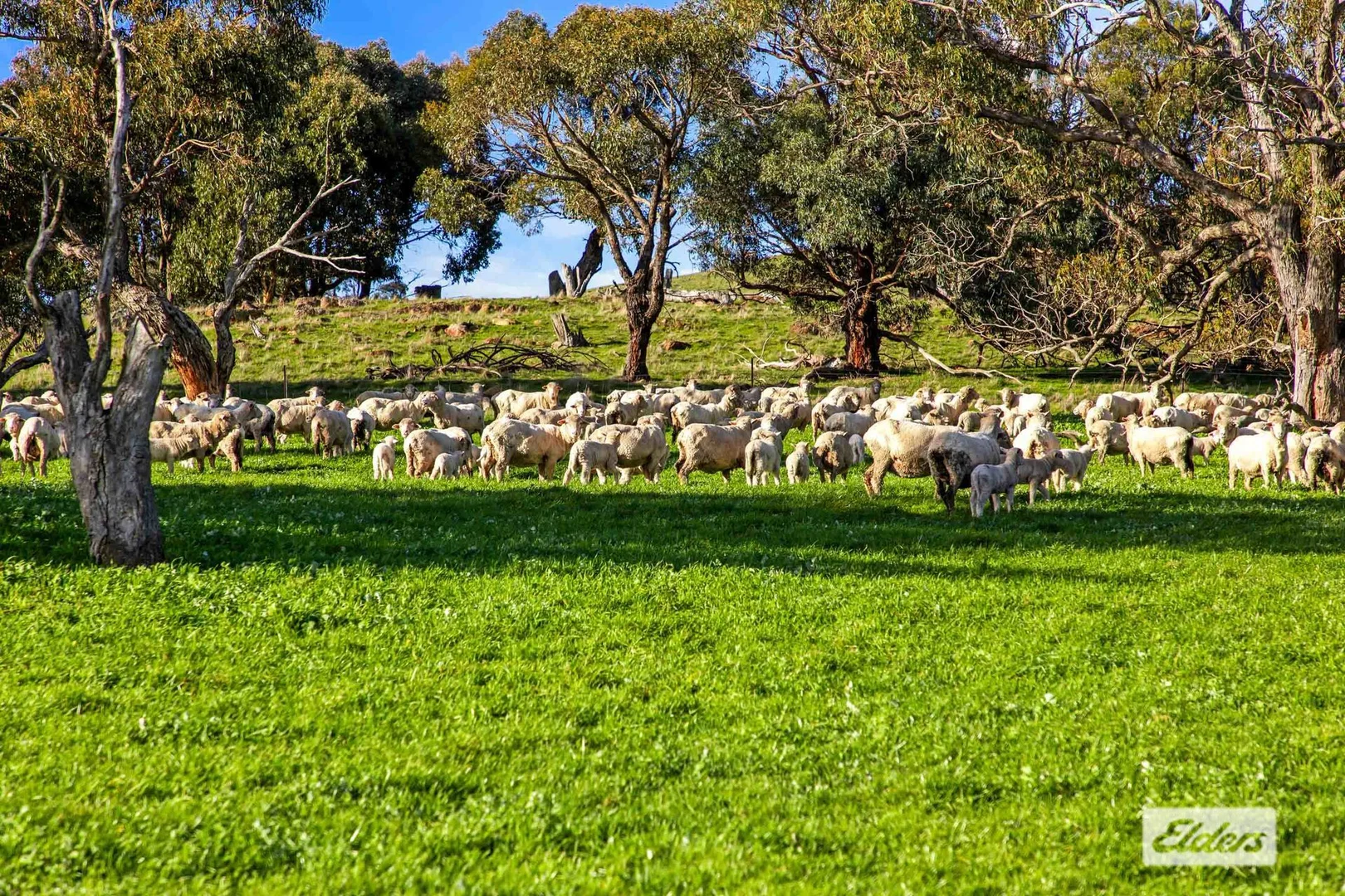 Additional image 10 of Warrayadin Road, Ararat VIC 3377