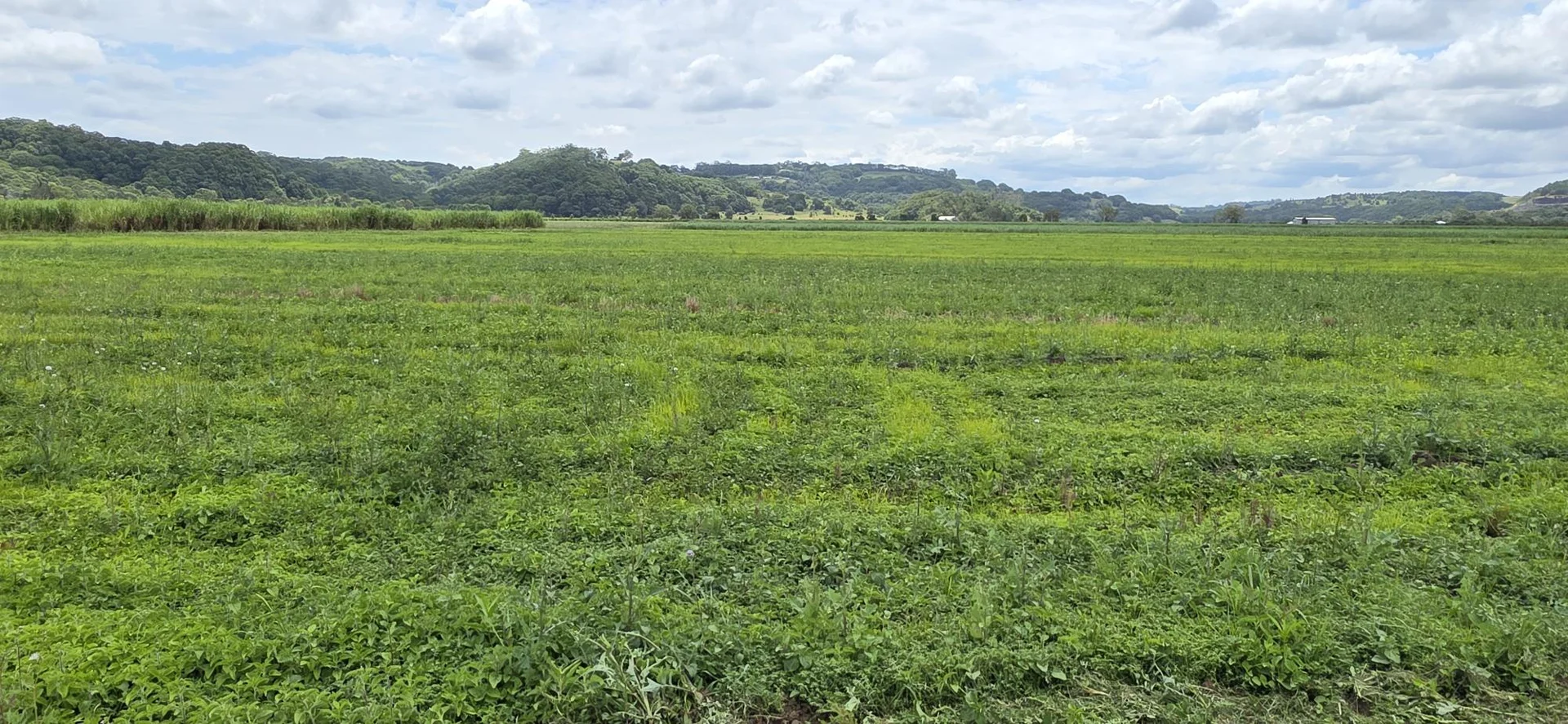 Additional image 9 of 423 Teven Road, Teven NSW 2478