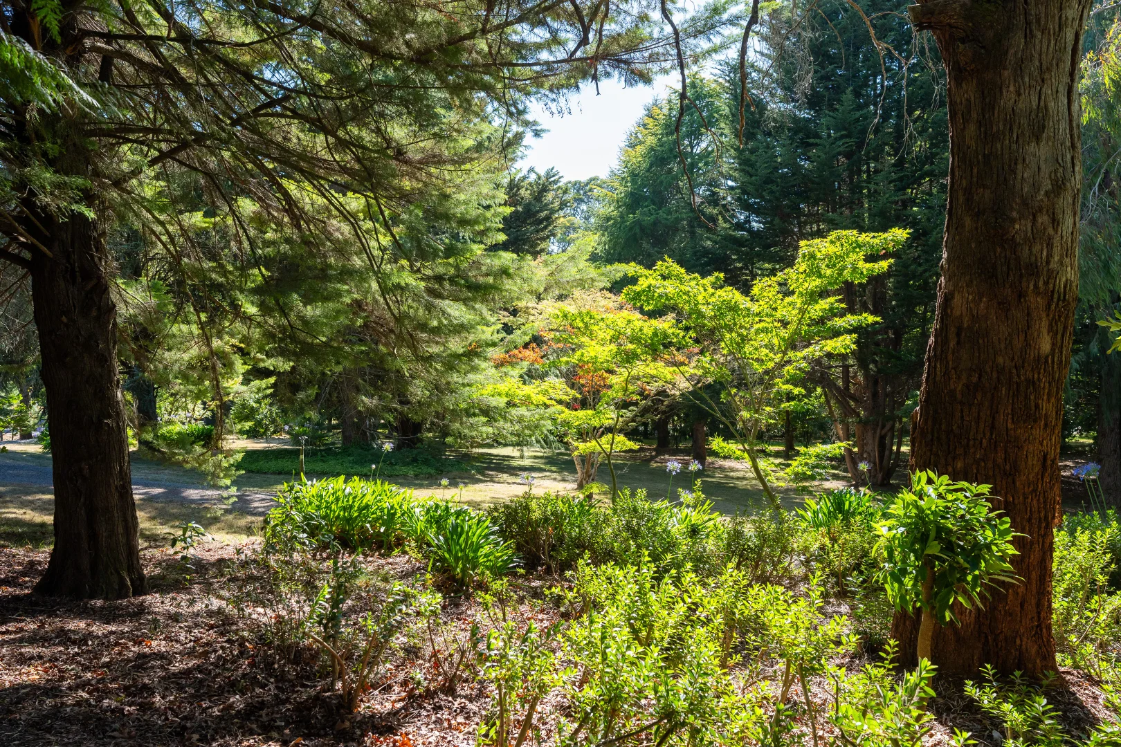 Additional image 8 of 192 Myrtleford-Stanley Road, Stanley VIC 3747