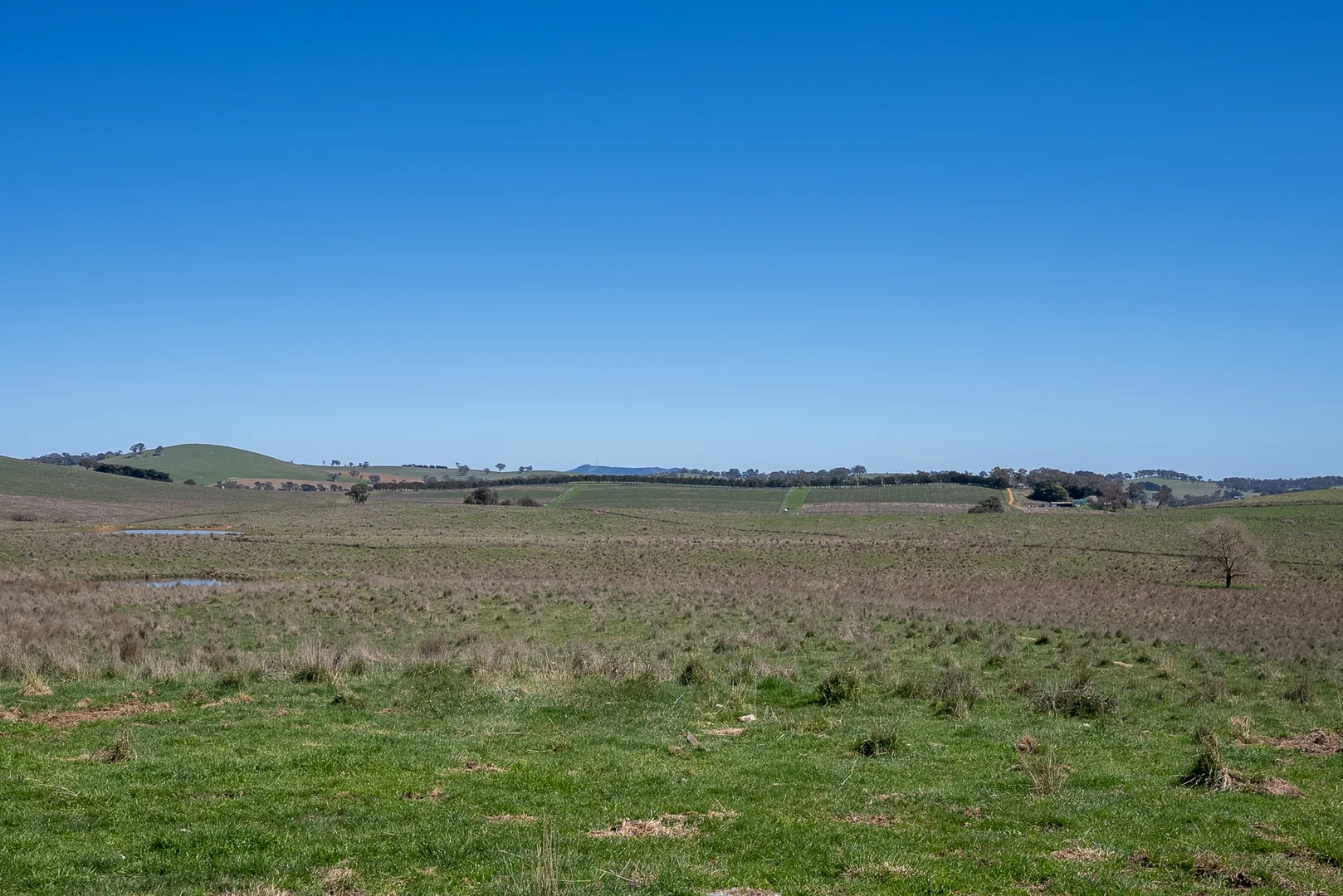 Additional image 23 of 242 Bundaleer Road, Newbridge NSW 2795