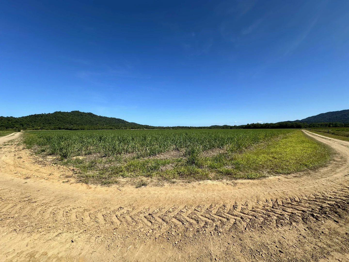 Additional image 8 of East Feluga QLD 4854