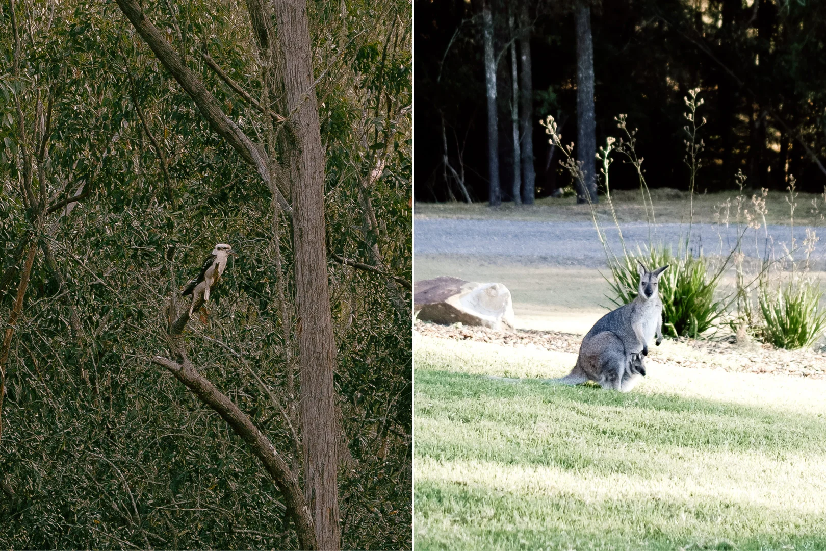 Additional image 25 of 276 Martins Creek Road, Paterson NSW 2421