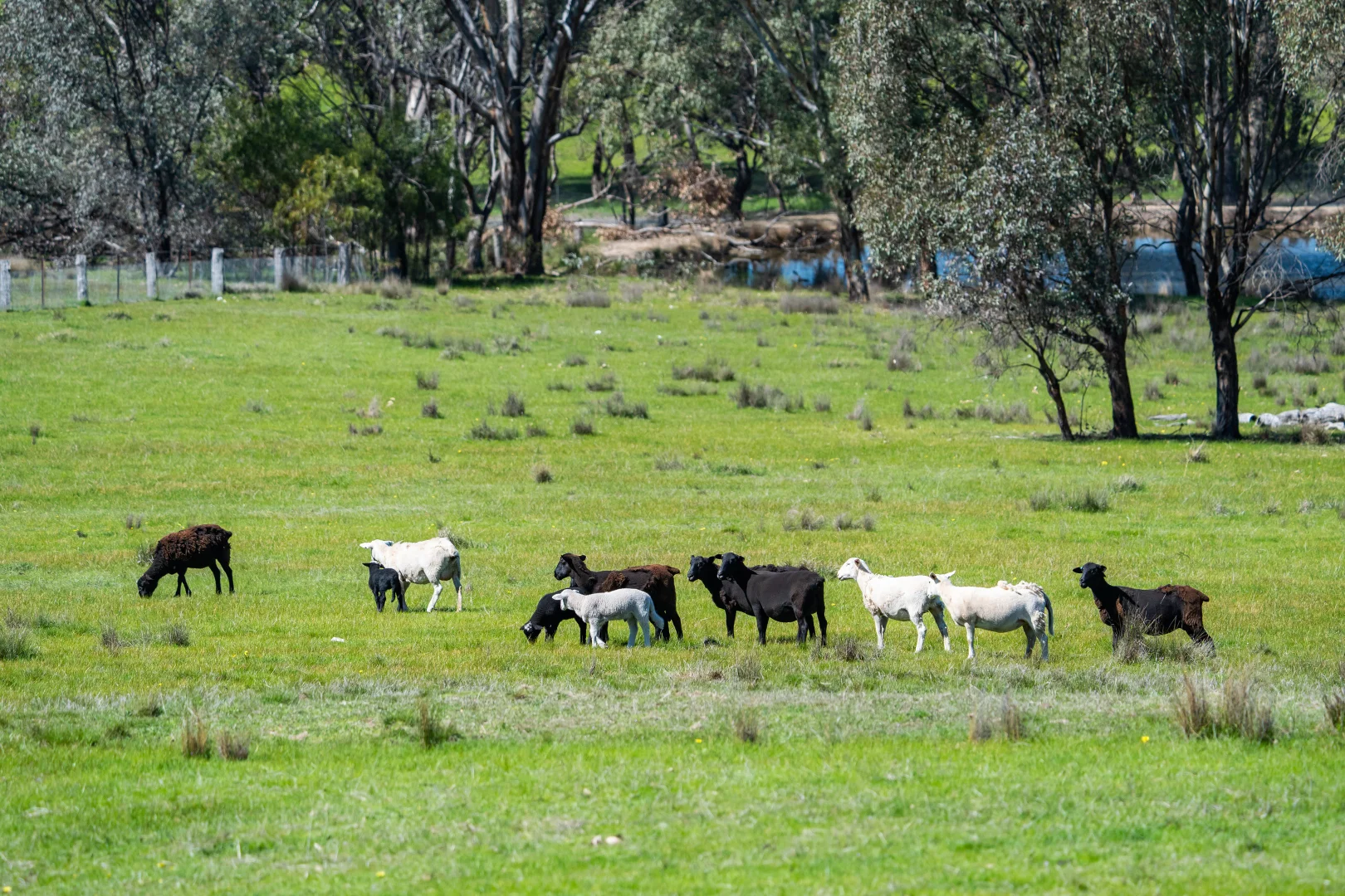 Additional image 23 of . Sanderson Road, Springhurst VIC 3682