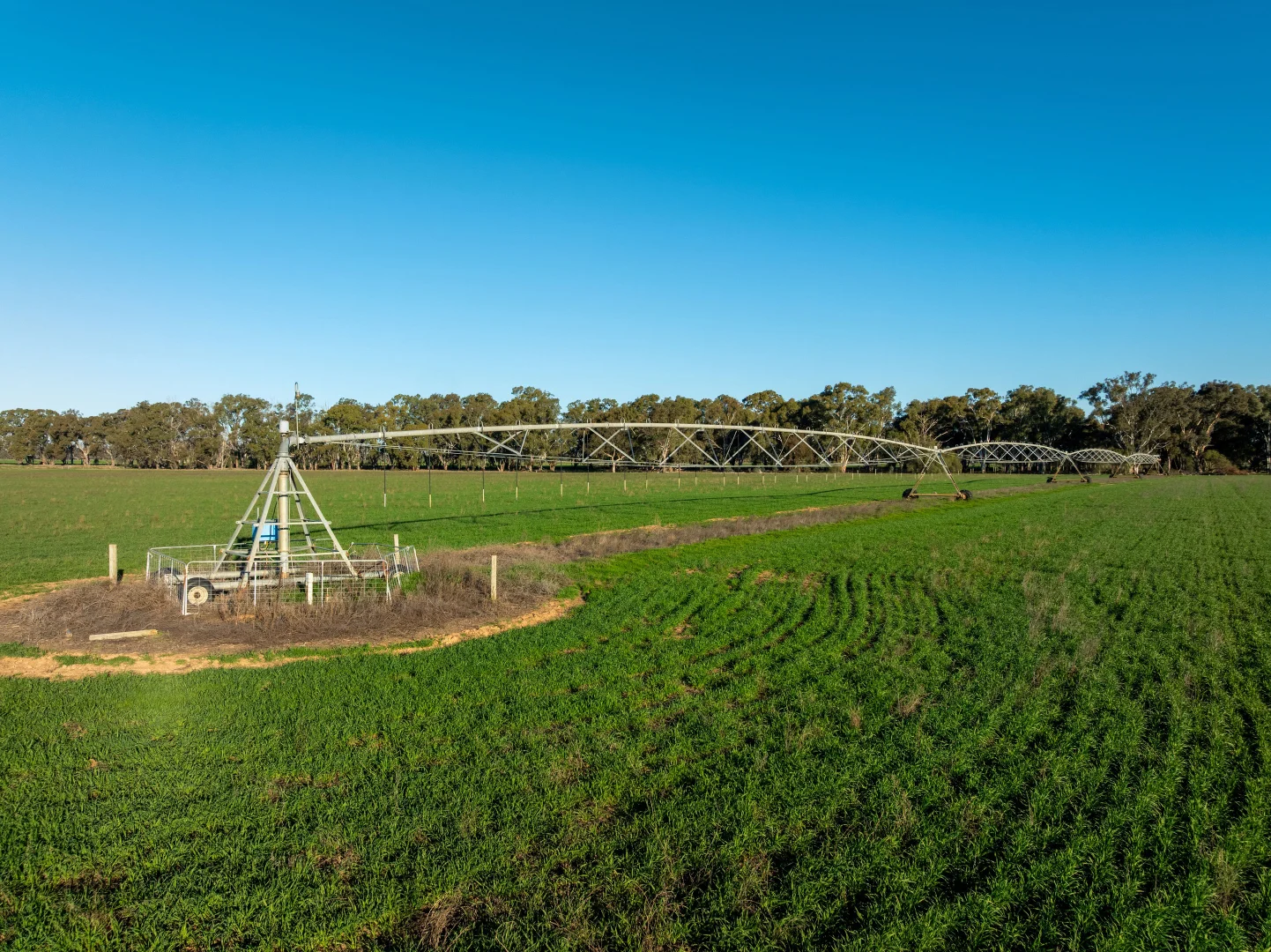 Additional image 6 of 479 Stokes Road, Strathmerton VIC 3641