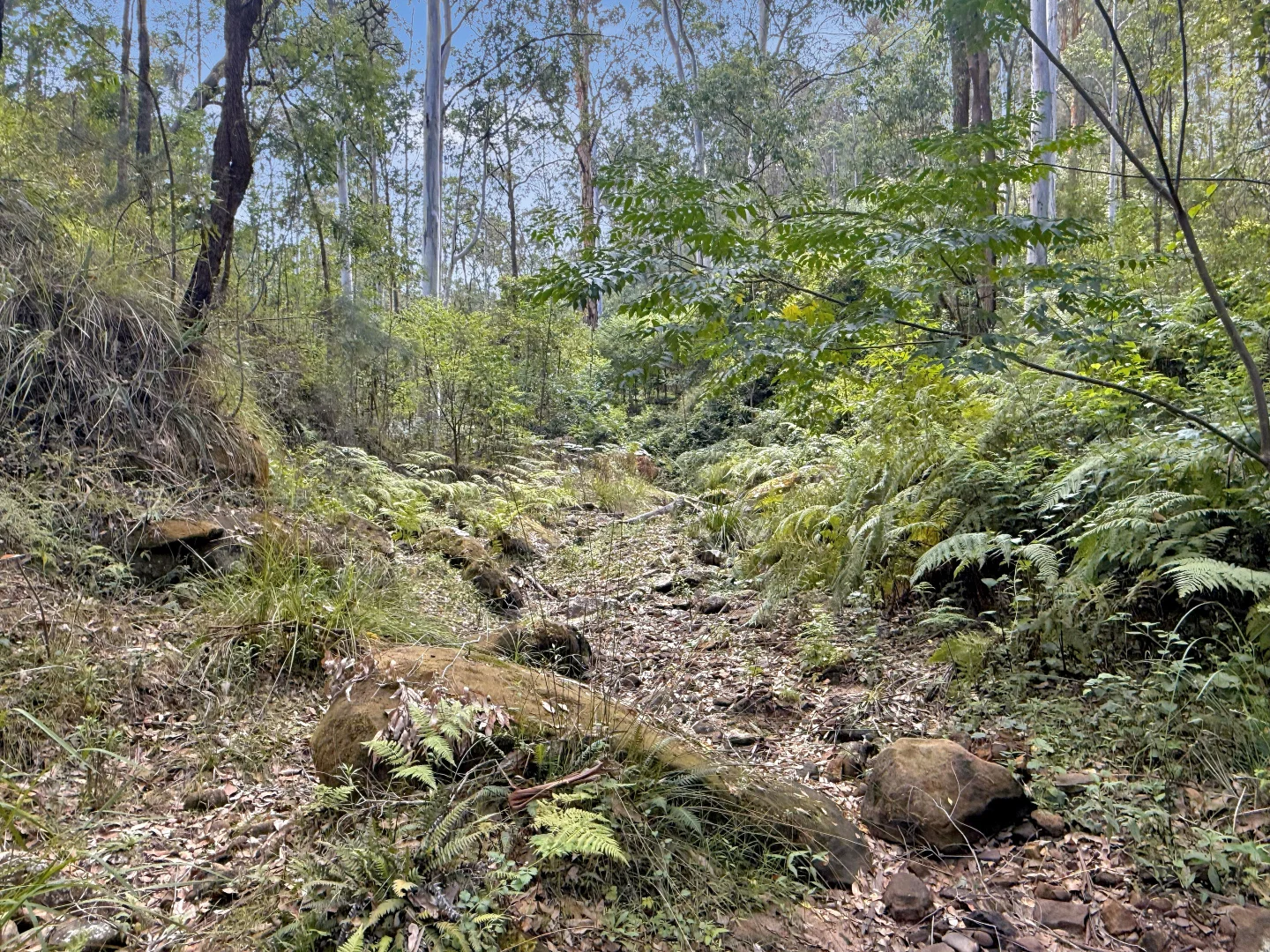 Additional image 15 of 946 Stockyard Creek Road, Paynes Crossing NSW 2325