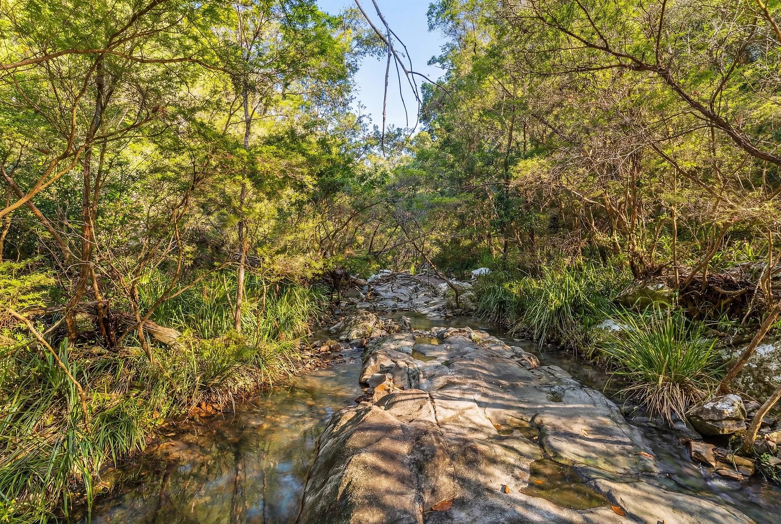 Additional image 35 of 34-36 Lydford Close, Bonogin QLD 4213