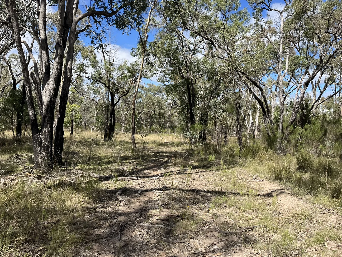 Additional image 14 of Bald Rock Bendemeer Road, Kingstown NSW 2358
