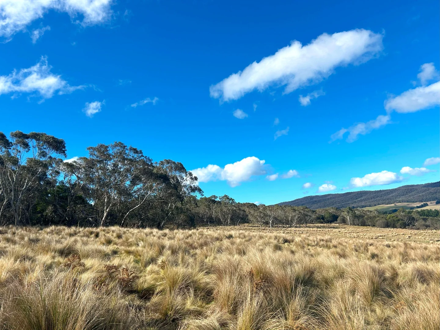 Additional image 19 of 11 & 128 Stoney Ridge Road, Braidwood NSW 2622