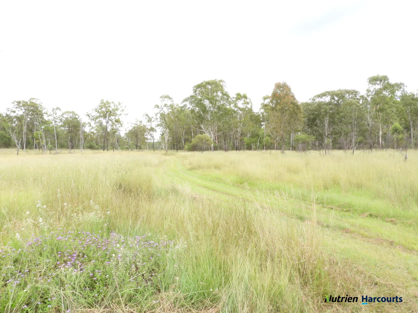 Additional image 24 of 754 Pedersens Road, Dangore QLD 4610