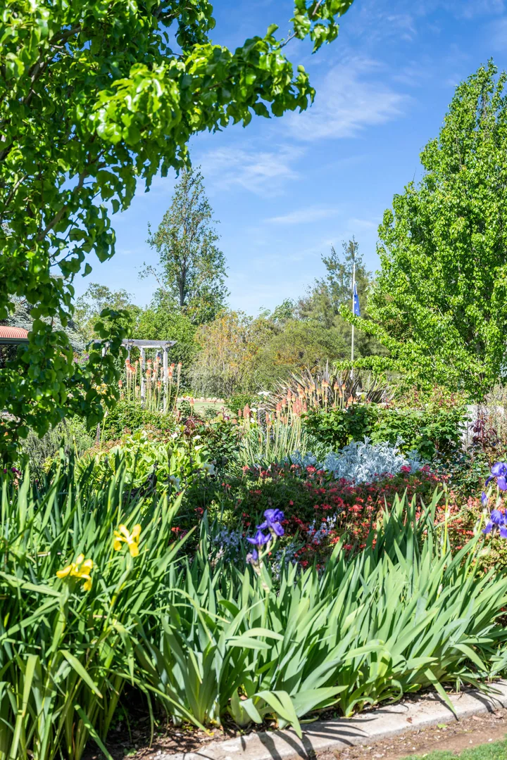 Additional image 47 of 14687 Riddoch Hwy, Coonawarra SA 5263