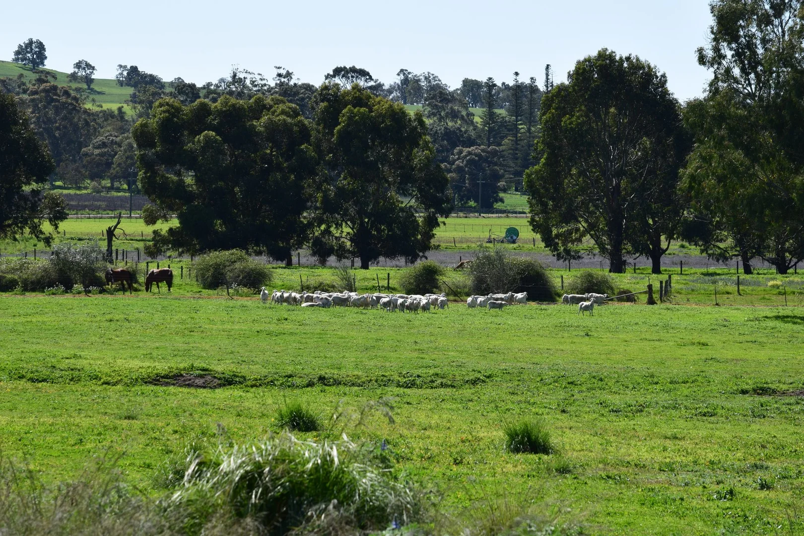 Additional image 4 of 62 Cheriton Road, Gingin WA 6503