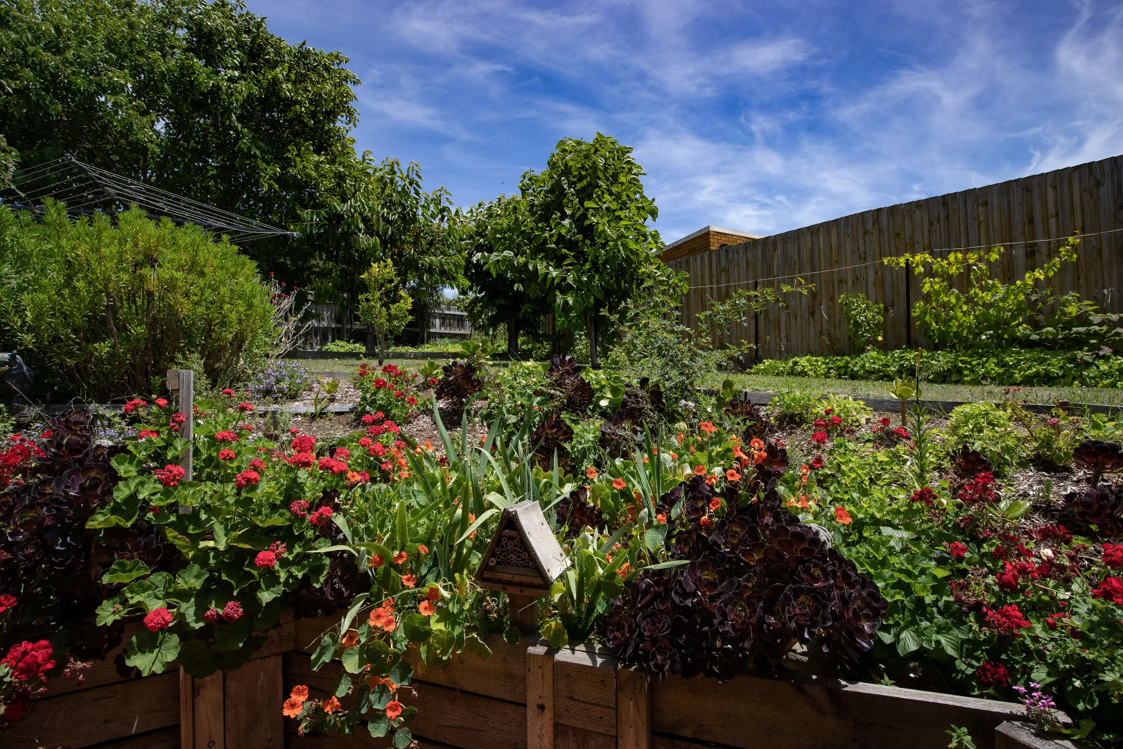 Additional image 36 of 2 WALSH COURT, Leongatha VIC 3953