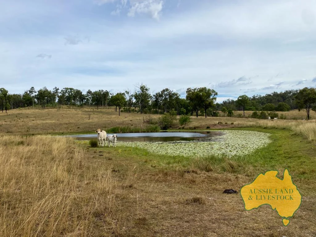 Additional image 8 of 2360 MONTO MOUNT PERRY ROAD, Yarrol QLD 4630