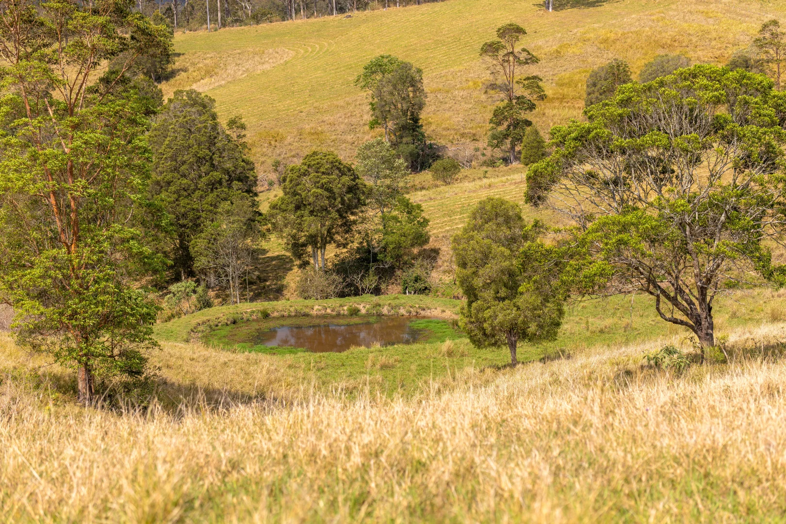 Additional image 26 of 129 Days Road, Belbora NSW 2422
