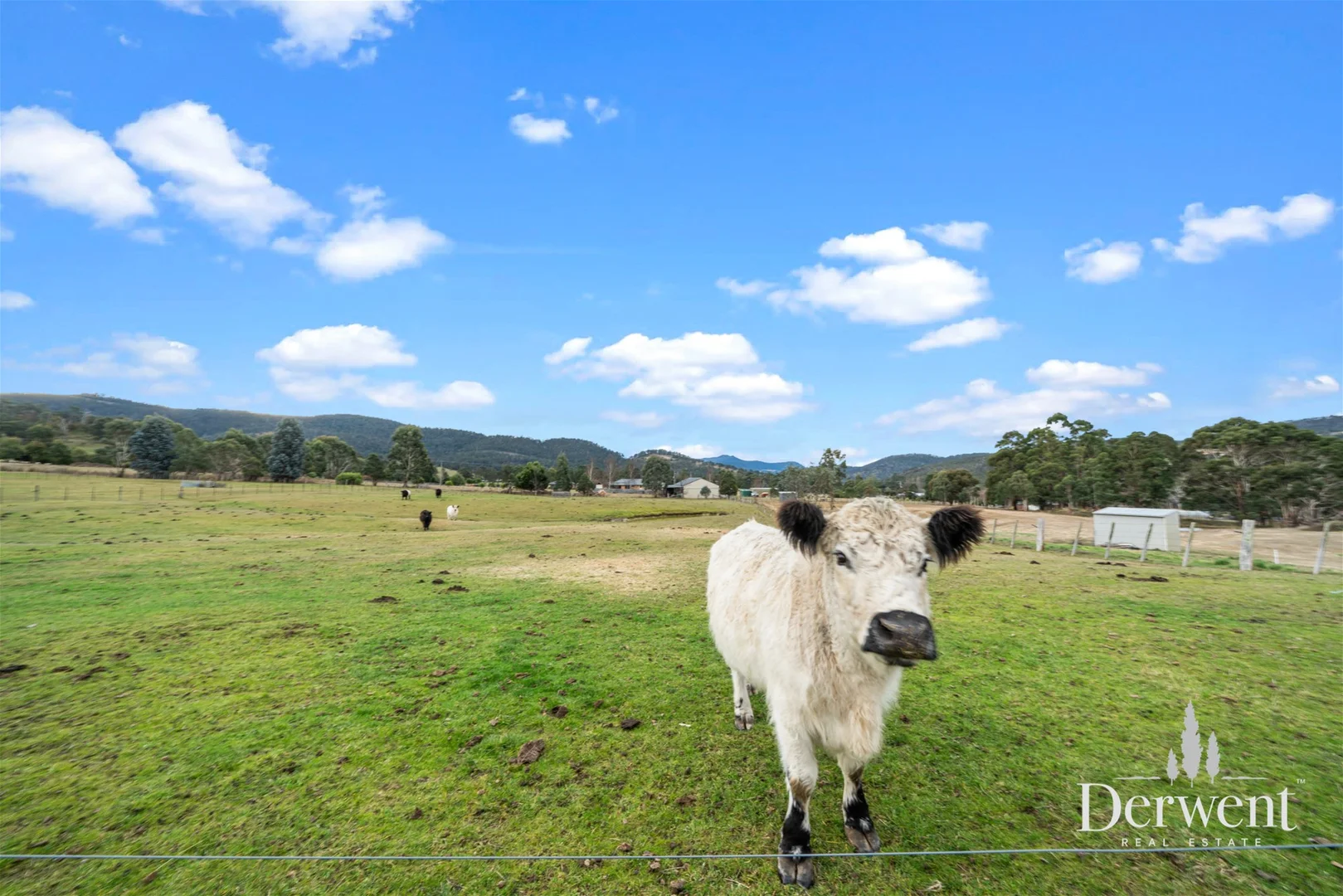 Additional image 9 of 30 Gaul Lane, Lachlan TAS 7140