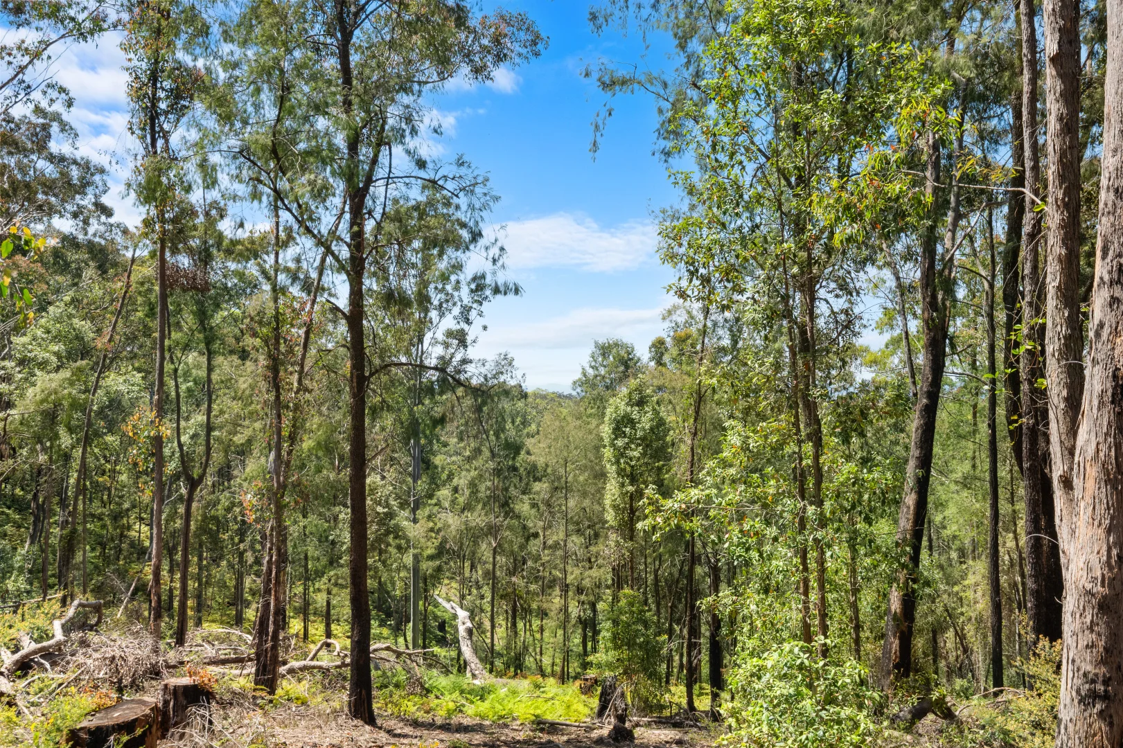 Additional image 13 of 1058 Bakers Road, Putty NSW 2330