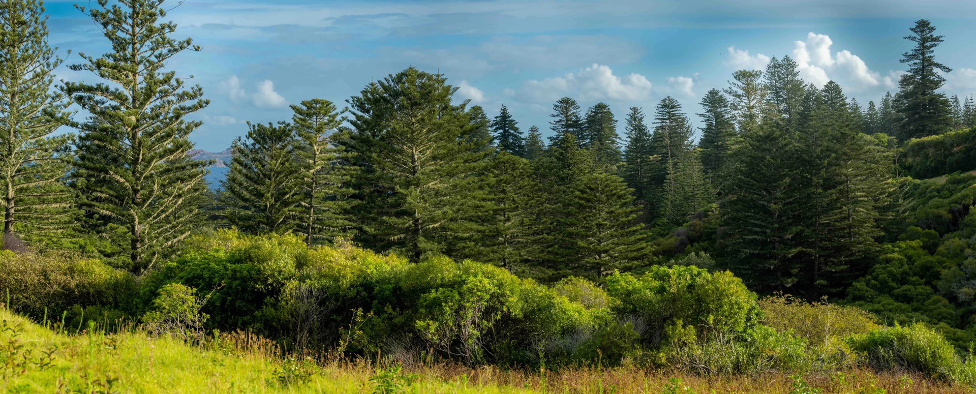 Additional image 4 of 77z4 Longridge Road, Norfolk Island NSW 2899