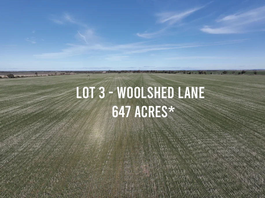 Additional image 4 of 0 Borung Highway, Jeffcott North VIC 3480