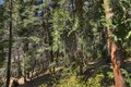 Additional image 30 of 28730 Potomac, Lake Arrowhead, CA, 92352