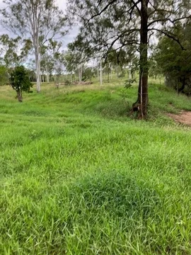 Additional image 33 of 142 PERRY RIVER FARMS RD, Morganville QLD 4671