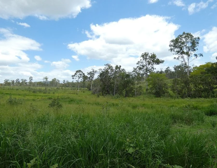 Additional image 20 of Lot 43 Moolyung Road, Waterloo QLD 4673