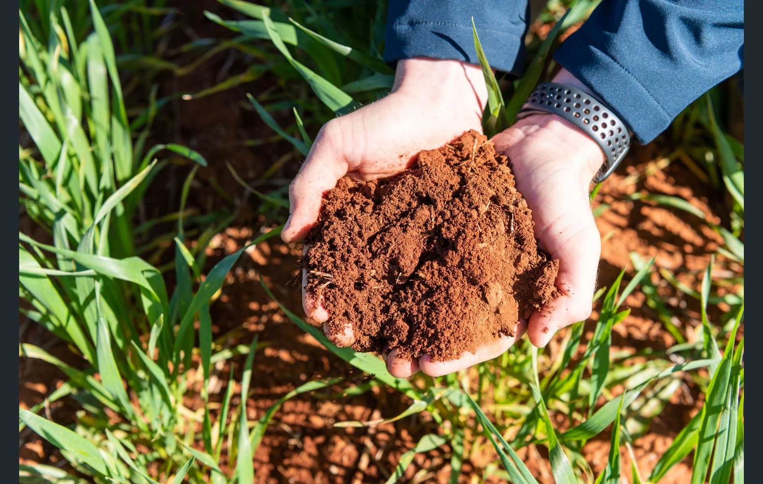 Additional image 11 of 'Black Range' 2880 Tallebung Road, Eremerang NSW 2877