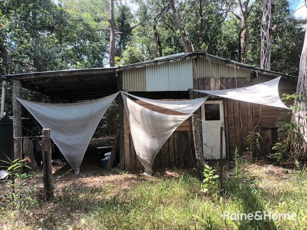 Additional image 11 of Lot 249 White Beech Road, Cow Bay, Daintree QLD 4873