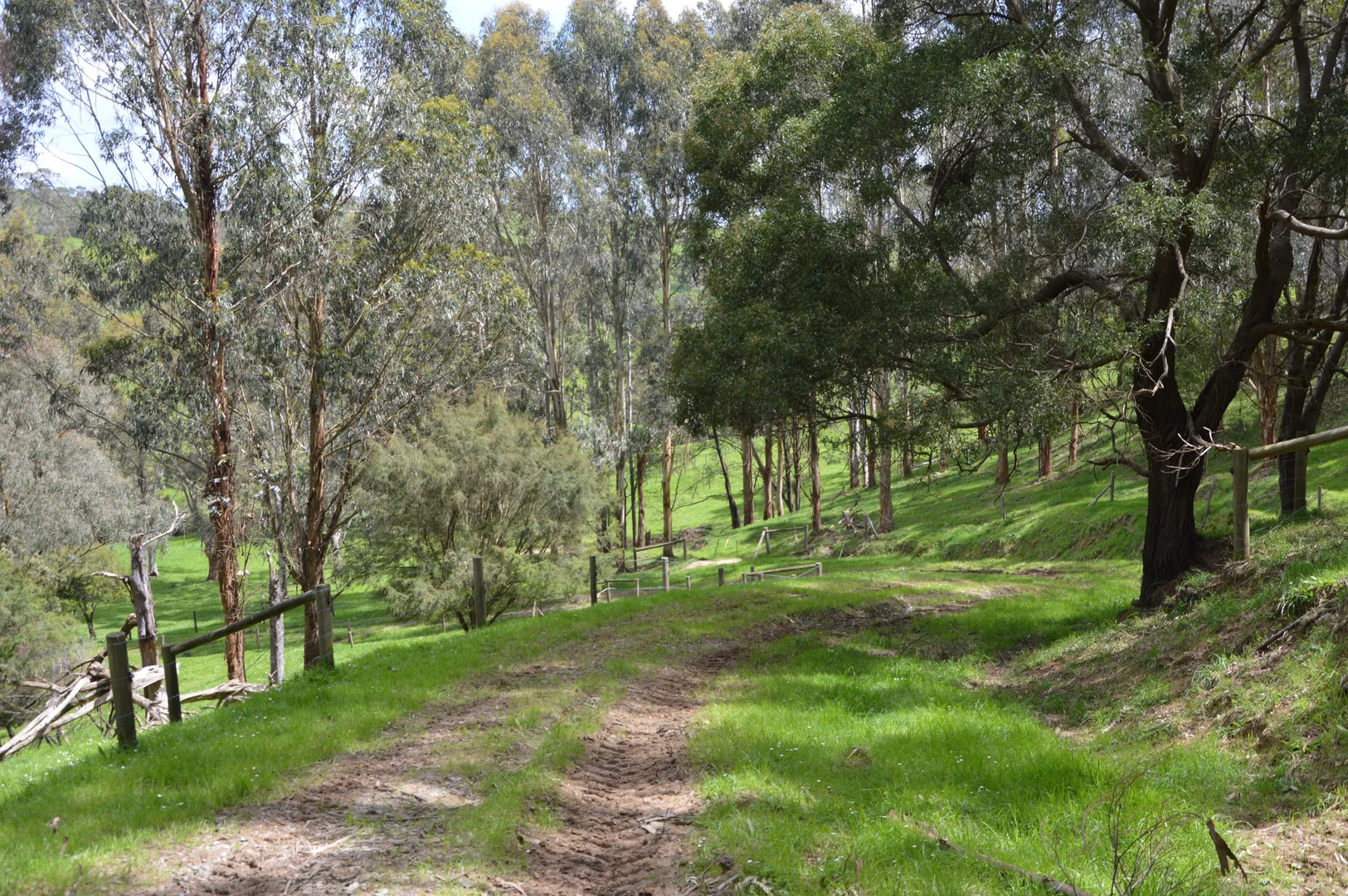 Additional image 31 of 59 Bellview Lane, Korumburra VIC 3950